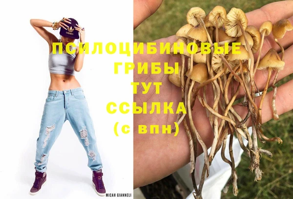 дмт Балабаново