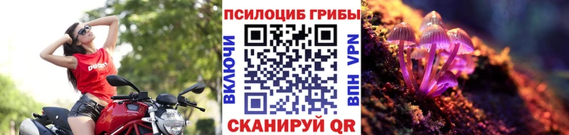 Псилоцибиновые грибы мухоморы  Гаврилов Посад 